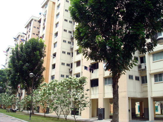 Woodlands Street 41 thumbnail photo